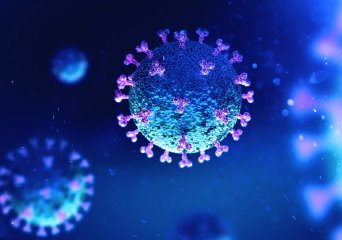 Antiviral testing CRO in vivo in vitro