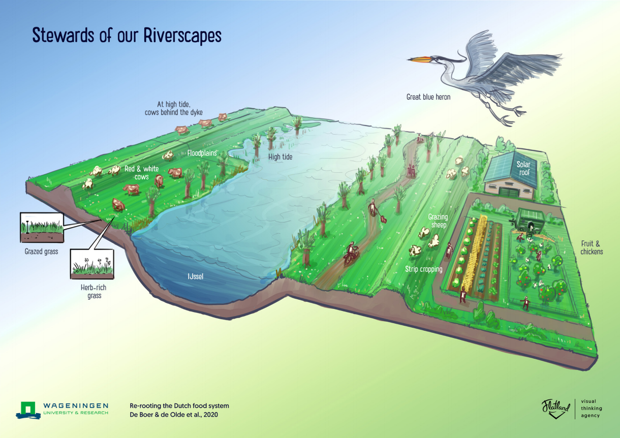 Stewards of our Riverscapes - Food Vision 2050