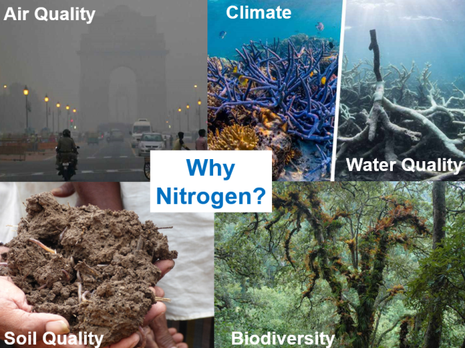 Figure 3. Visualization of nitrogen impacts (after Sutton et al., 2019).