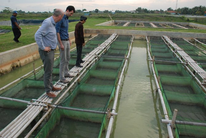 Together with local partners, Wageningen University & Research designs breeding programs for aquaculture that increase the productivity and profitability of smallholder farms.