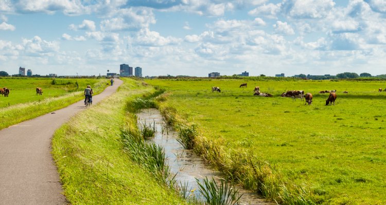 Projects Wageningen Environmental Research