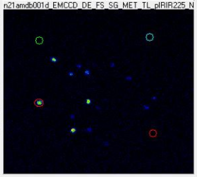 An example of  several  grains emitting light, captured in one image. The red circle in the left-middle shows a bright sand grain emitting luminescence; the other circles are for positioning.