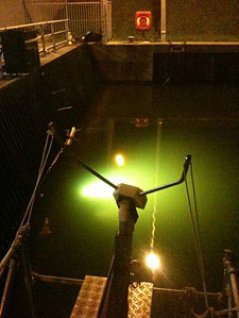 DIDSON in gebruik bij een visweringssyteem (stoboscooplampen) bij gemaal IJmuiden