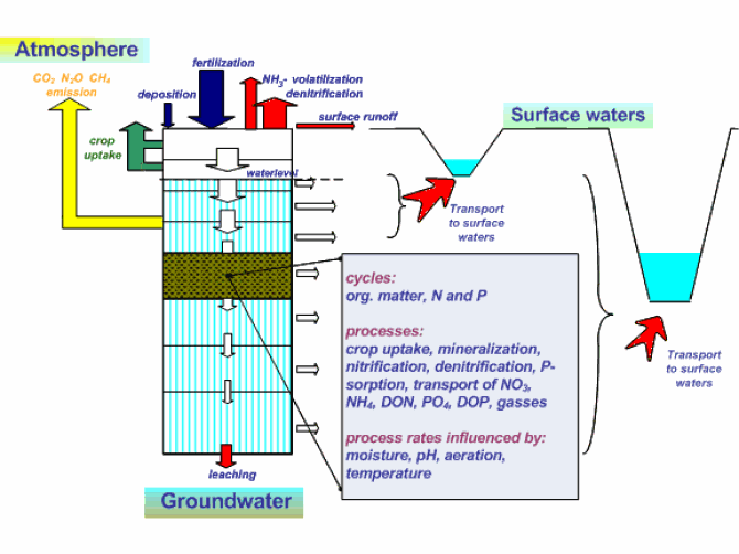  Figure 1: Transport routes and nitrogen and phosphorus related processes included in the ANIMO model