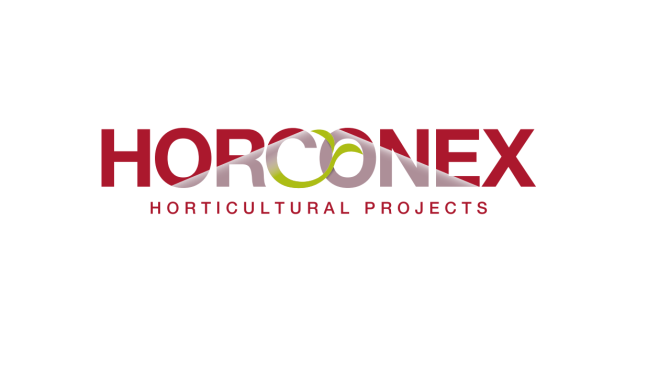 Horconex logo SP1280x720.png