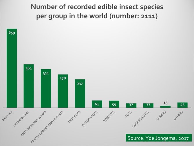 Grafiek wereld edible insects 2017.jpg
