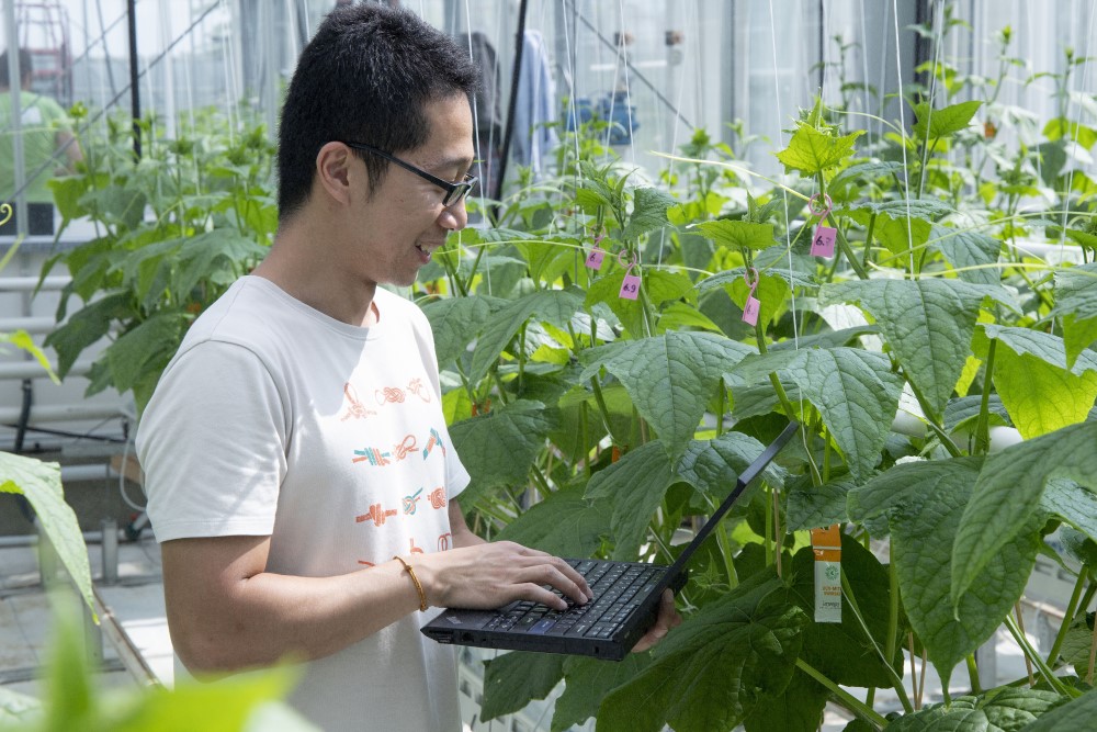 Een van de leden van het Chinese team AiCU bereidt het greenhouse experiment met komkommers voor tijdens de Autonomous Greenhouse Challenge 2018. Foto: Silke Hemming