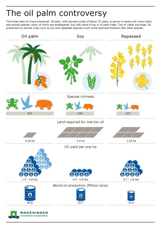 The oil palm controversy. The three main oil crops compared. Oil palm, with harvest cycles of about 25 years, is grown in areas with many plant an animal species, many of which are endangered, but with some living in oil palm trees. The oil yields are large. Oil production by annual crops such as soy and rapeseed requires much more land and harbours few other species. 