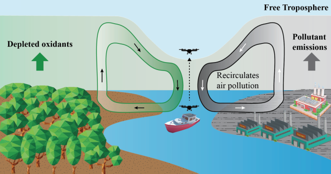 Figuur 1 Weergave van de thermisch gedreven recirculaire rivierwinden en de potentiële impact daarvan op de verspreiding van stedelijke verontreiniging boven het aan de rivier gelegen stedelijke en bosrijke landschap.