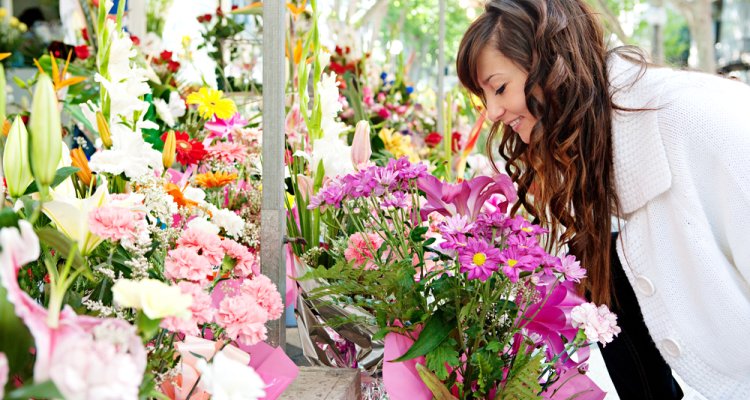 Visual assessment of flowers