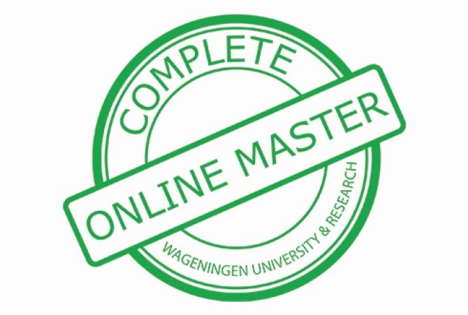 Online master