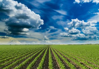 klimaatslimme landbouw, klimaatverandering, climate smart agriculture
