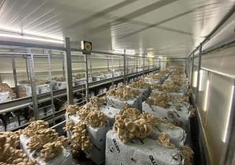 Mushroom cultivation facilities Wageningen University & Research