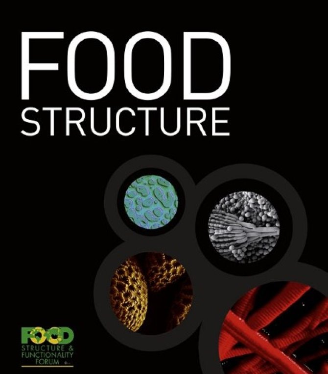 FoodStructure.jpg