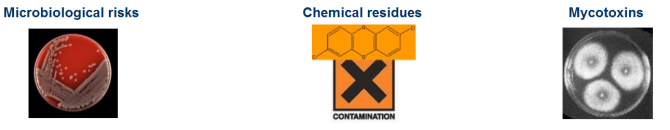 microbiological risks, chemical residues and mycotoxins