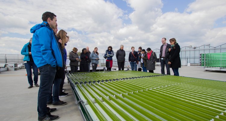 Wageningen UR, Wageningen Academy, study visit's 