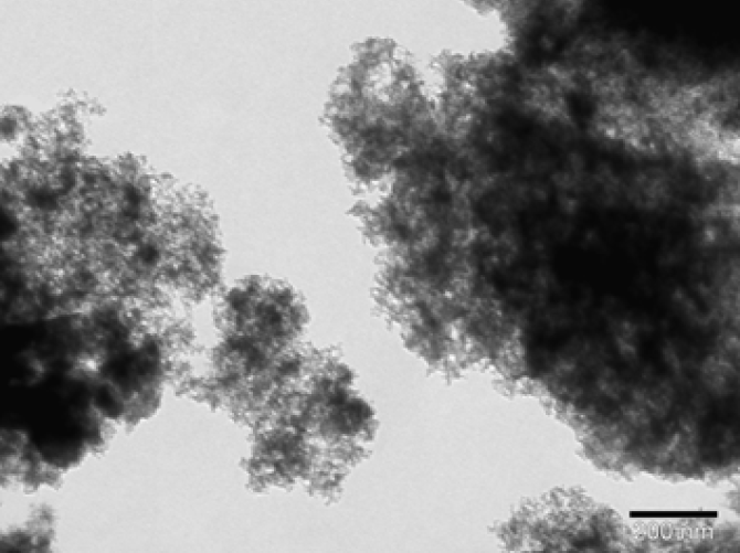 Fig.1: TEM image of the Ni/AC catalyst.