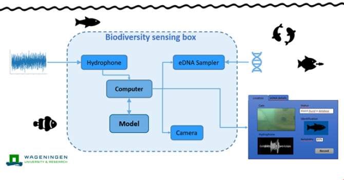 Figure 2: Deployment and functions of the Biodiversity Sensing Box.
