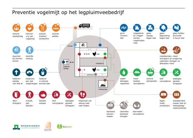 infographic preventie op legpluimveebedrijf