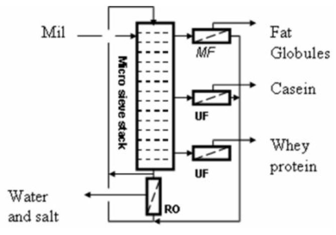 SolomonFig3.jpg