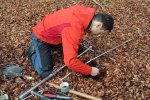 Soil investigation before tree harvesting