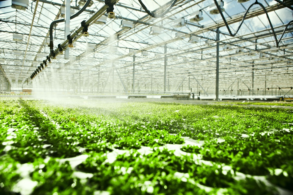 In a network, users are linked, to allow for the reuse of purified wastewater in horticulture, for example.