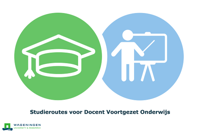 Studieroutes-docent-versie2-02.png