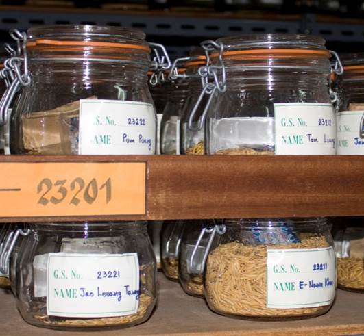 Advantage Of Storing Seeds In Seed Banks : Storing Seeds ...