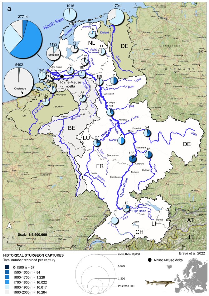 Historical map sturgeon captures