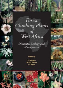 Forest climbing plants
