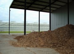 Aan de slag met biomassa