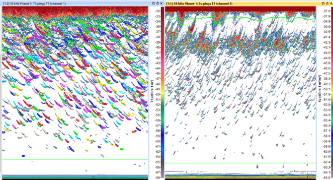 Figuur 1) Een voorbeeld van de data. Het linker beeld toont de individuele vissen, het rechter beeld laat de verschillende ophopingen van vis zien in de vorm van scholen en lagen.