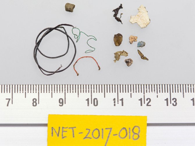 Threshold Value example: up to 10% of fulmars may have this quantity of plastic or more in the stomach  (fulmar NET-2017-018 had ingested 0.1174 gram plastic, just above the limit)