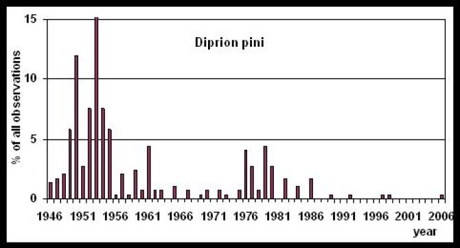 Diprion