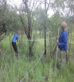 Vegetation surveys during field experiments in the Roodeplaat Farm
