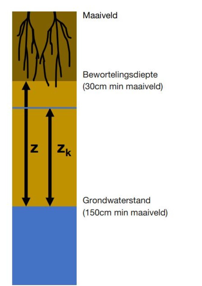 Verbeelding van een situatie waarbij het grondwater te diep onder de wortelzone zit om voldoende vocht aan te leveren.