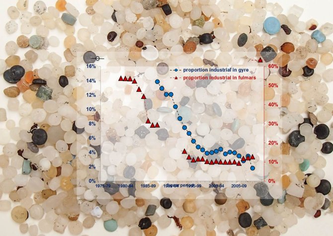 Decreases of industrial plastic granules as percentage of total plastic particles in stomachs of Fulmars from the North Sea (red triangles) and in the North Atlantic gyre (blue circles). Background industrial granules.