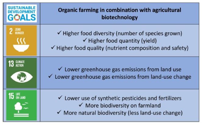 The possible synergies between organic farming and agricultural biotechnology.