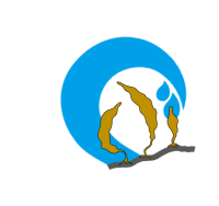 Logo SEASeeds-consortium