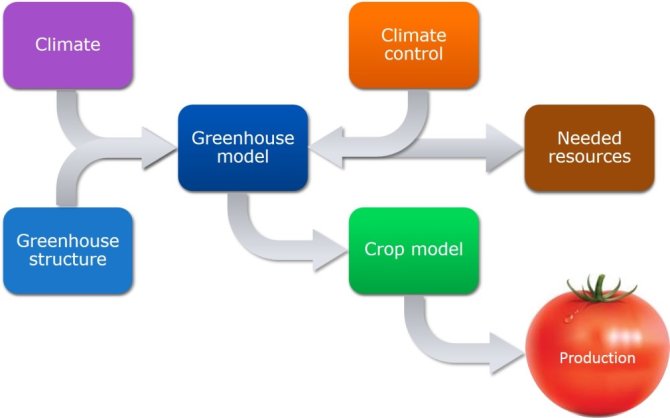 Model the climate and crops