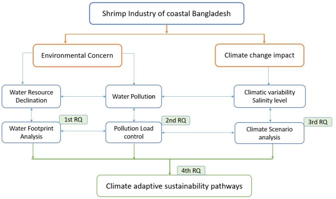 Conceptual Framework