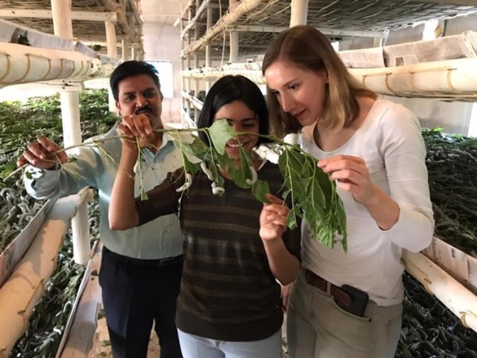 Anjani Nayak and Fabiola Neitzel visit a silkworm farm during their trip to India (Credit: Team SWAP).