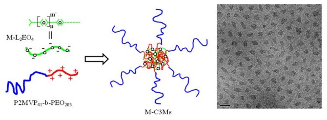 Figure 1. Formation of metal containing C3Ms (left) and TEM picture of Fe(III)-C3Ms (right).