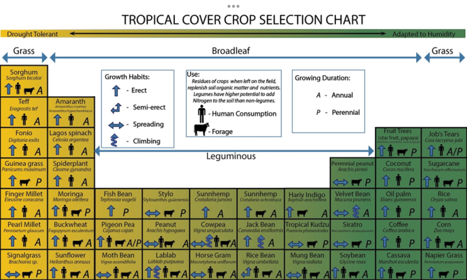 Tropical Crop selection.png