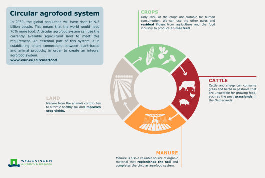 Infographic Kringlooplandbouw EN.png