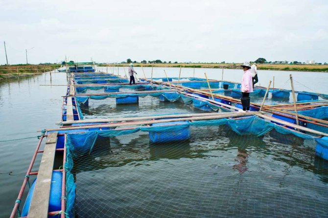Vietnam has specific delta problems and a food system with fish farms and rice cultivation in flooded fields