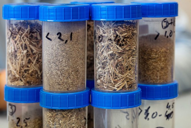 We gebruiken de collectie bijvoorbeeld ook om te onderzoeken welke schimmels het beste geschikt zijn om bepaalde typen biomassa om te zetten.