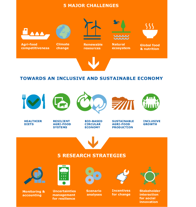 Towards an inlcusive sustainable economy