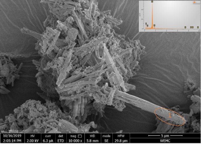 Scanning Electronic Microscopic (SEM) image of pure selenium crystal needles