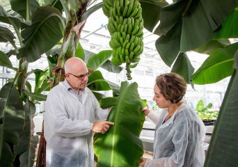 faciliteiten plant onderzoek